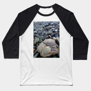 Limpet on a Stony Shore Baseball T-Shirt